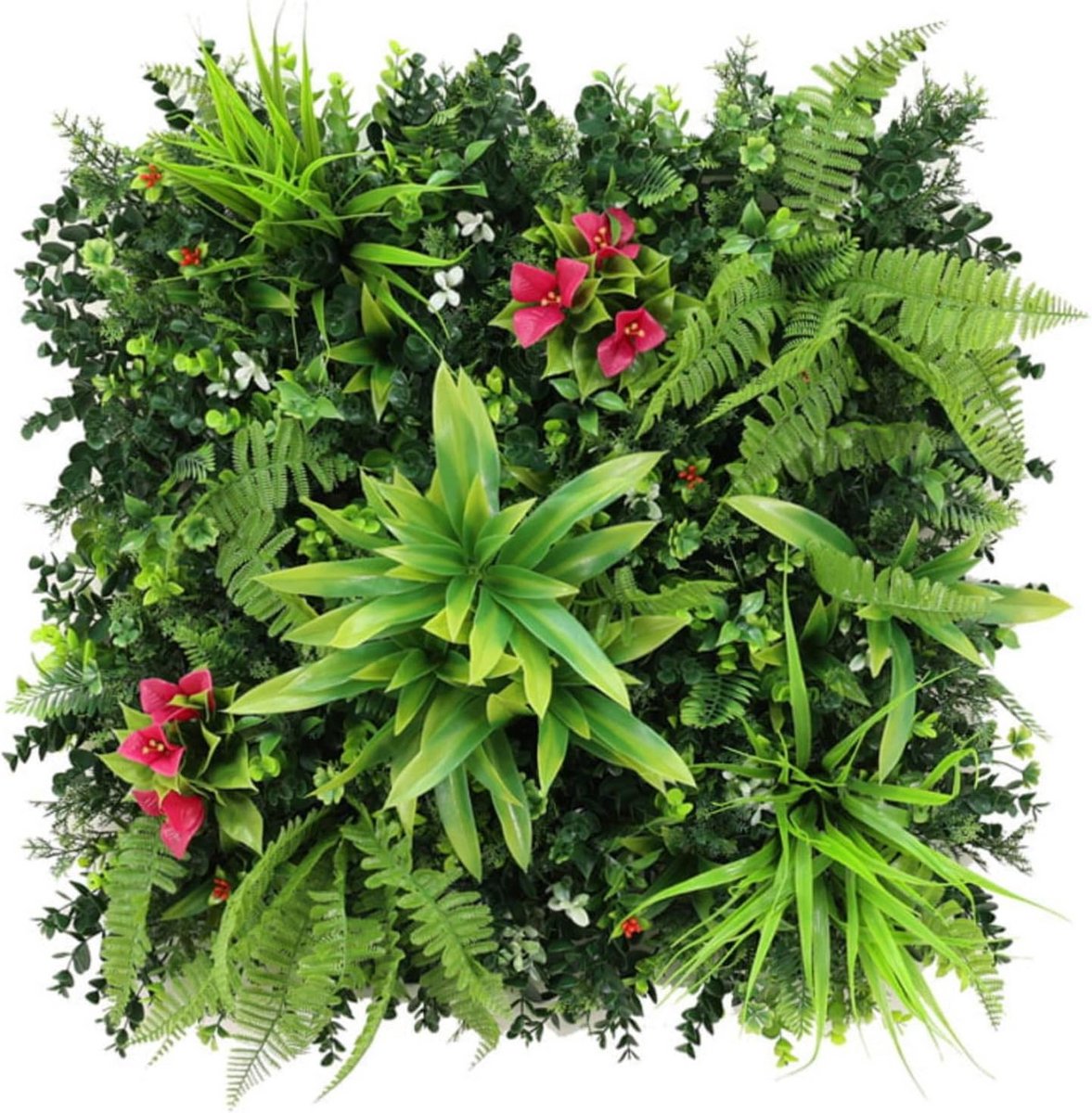 Set van 4 Kunstplantenmuur Dracaena Roze Orchidee - 50x50cm Groene Wanddecoratie