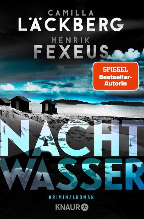 Die Dabiri-Walder-Trilogie 3 - Nachtwasser - cover