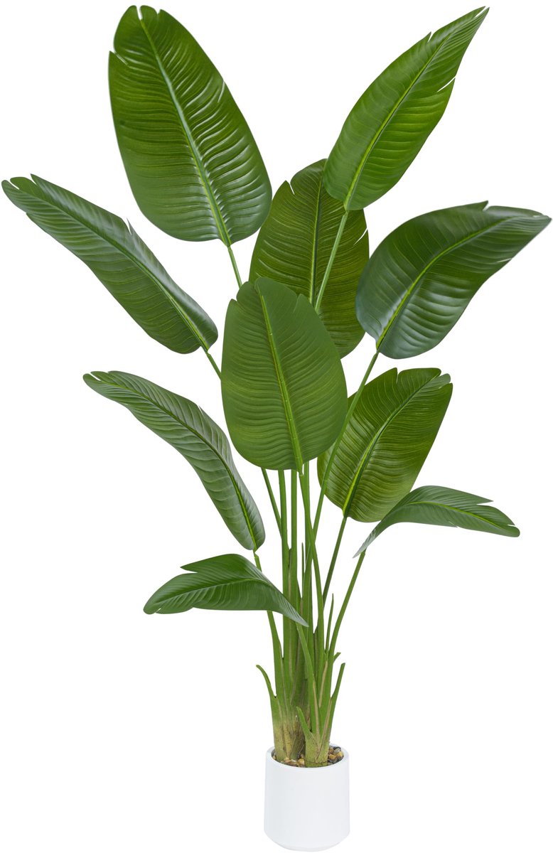 Unyqoos Grote Tropische Bananenboom van 180 cm met Realistische Bladeren en Witte Pot groen