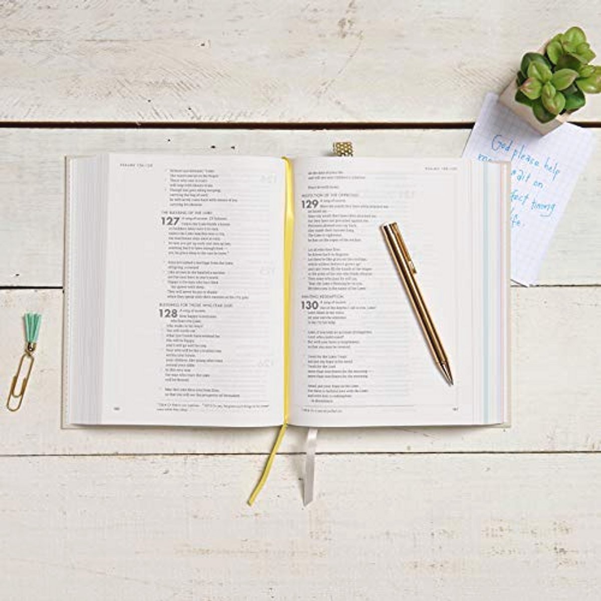 CSB She Reads Truth Bible, Hardcover: - afbeelding 2