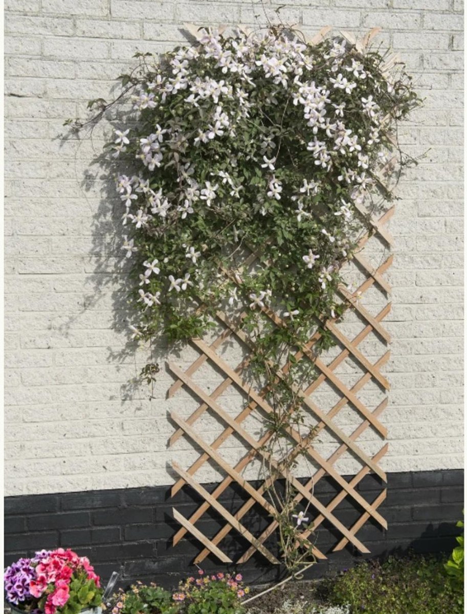 Nature - Houten Klimrek 150x 50cm - Klim-En Geleide Artikel - Natural — afbeelding 5
