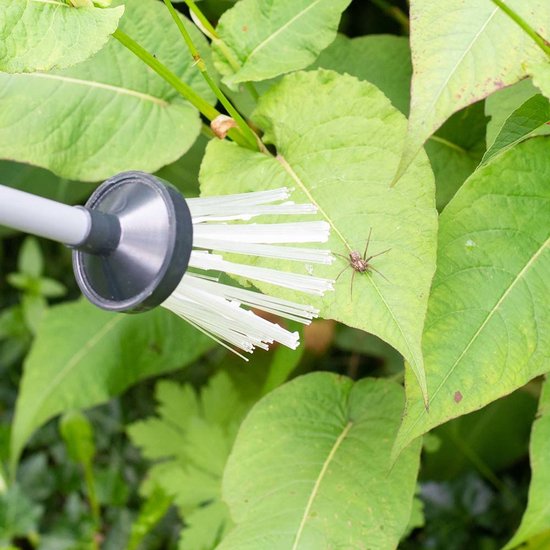 CJ Wildlife - Insectenvanger met borstel - Spinnenvanger