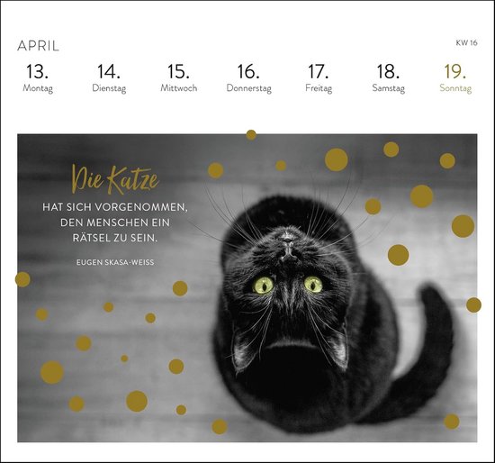 Tischkalender für 2026 ab €9,99 selbst gestalten - Fotoservice