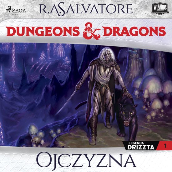 Dungeons&Dragons. Legenda Drizzta. Tom 1: Ojczyzna - cover