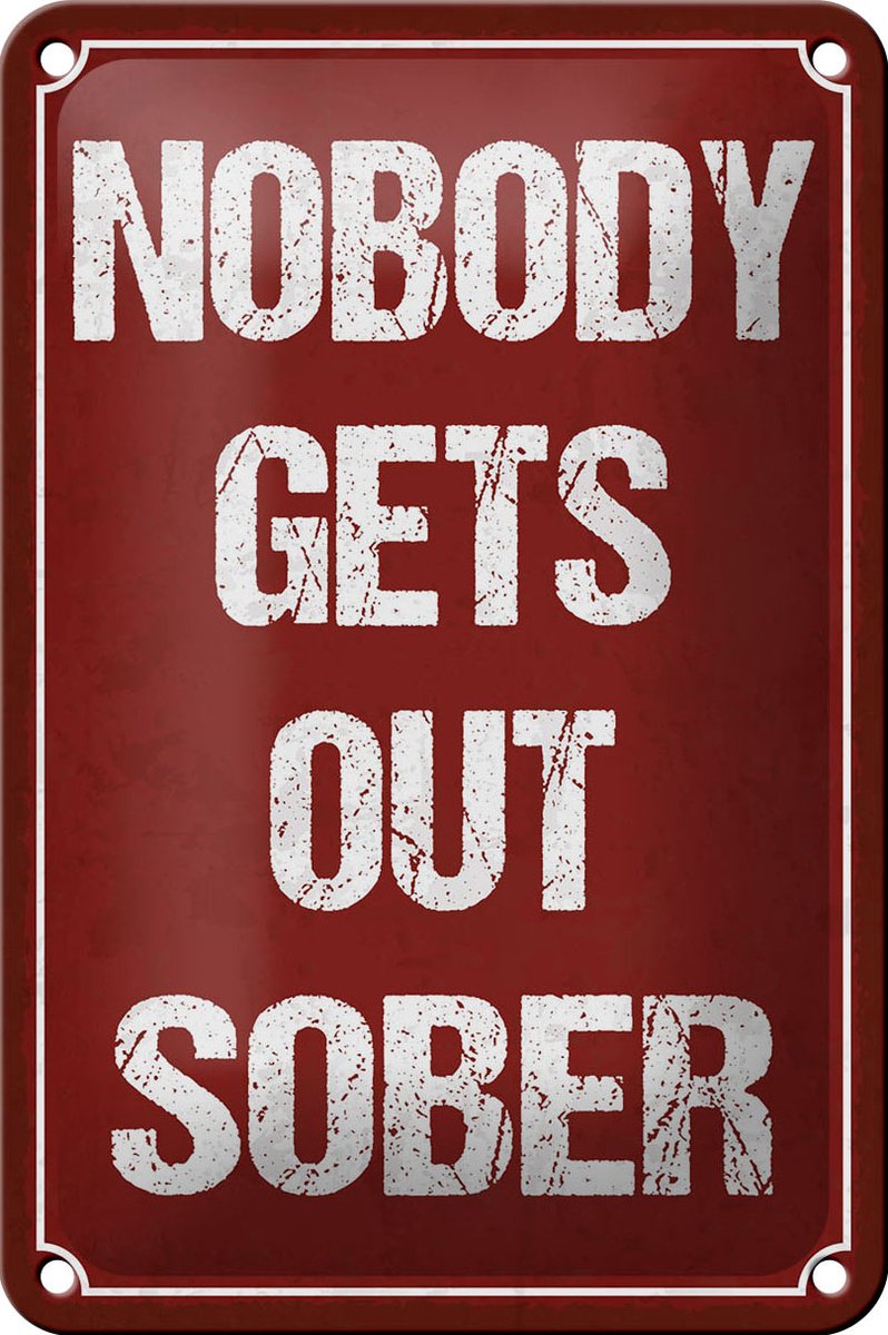 Blechschild Spruch 12x18cm nobody gets out sober