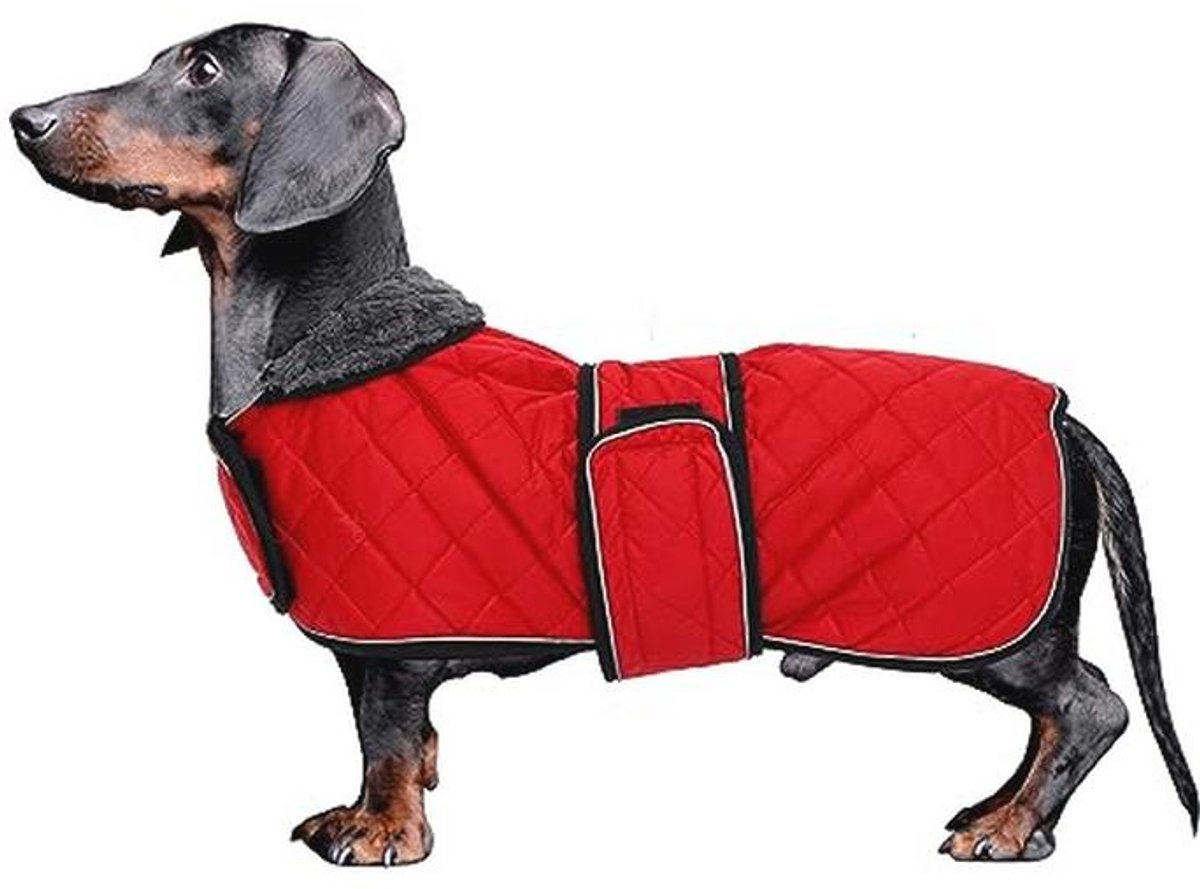 Winterjas voor Teckels - Gewatteerde Fleece Voering, Verstelbare Banden - Rood - Maat S