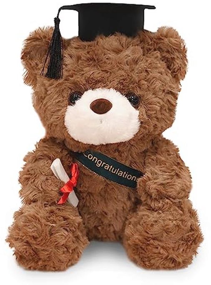 Pluche teddybeer met diploma en doktershoed - Perfect afstudeercadeau