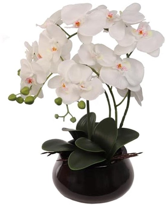 Orchidee bloemstuk in vaas - 19 gedetailleerde zijden orchideeën met keramische vaas en levendig groen gebladerte