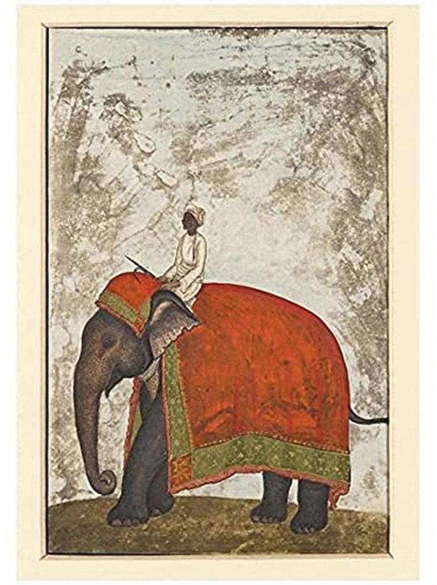Kunstdruk Ceremonieel Olifant Muurschilderij – Khan Mughal Keizer Thema