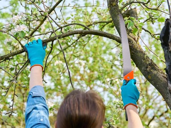 Takkenzaag - met Tanden-Beschermhoes - 49 cm - Zwart/Oranje - Antislip Handgreep - Tuin Handzaag - Snoeizaag - Boomzaag - Houtzaag - Handzaag - Tuinieren van Talen Tools — afbeelding 5