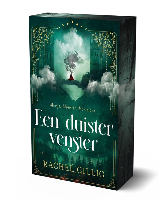 Een duister venster - cover