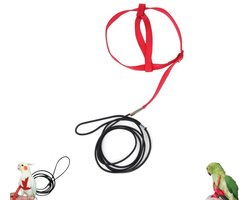 2 stuks - Papegaaienborstriem - Elastische papegaaienriem - Bijtbestendige vogelriem - Nylon papegaaienriem - Verstelbaar trainingskoord voor papegaaien - Geschikt voor papegaaien, grasparkieten, dwergpapegaaien en valkparkieten (rood)