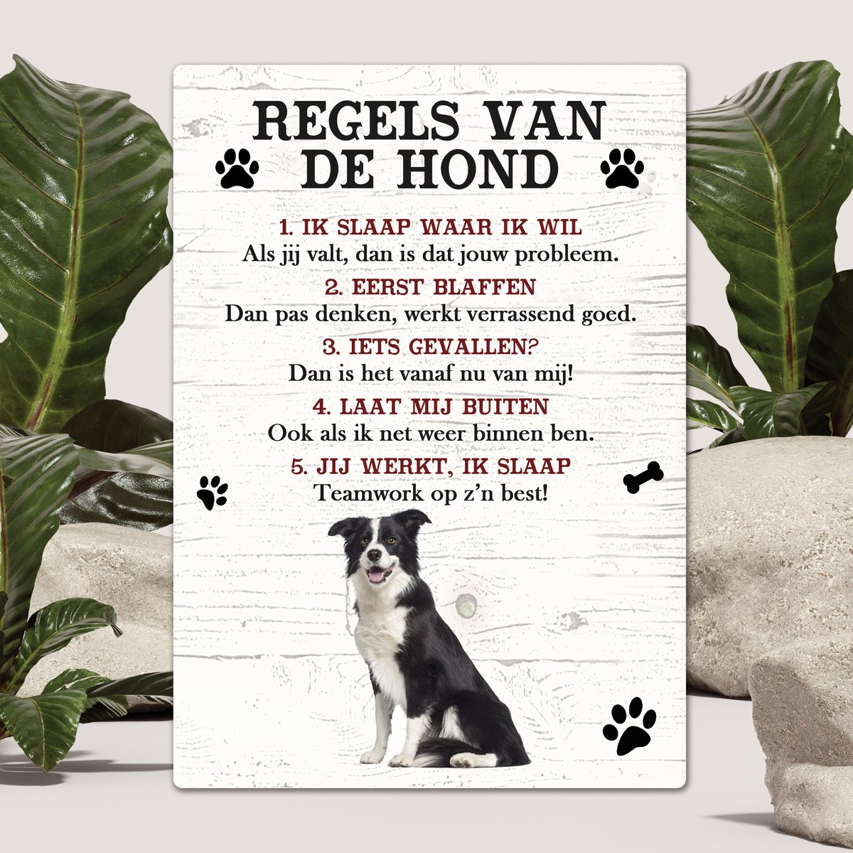 Spreuken - Bordercollie - Regels Van De Hond - Spreuken Bordjes - Spreukenbord - Tekstborden - Cadeau - Hondenras