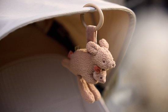 Jollein Wagenhanger - Kinderwagen Speelgoed - Kangaroots van Merkloos — afbeelding 3