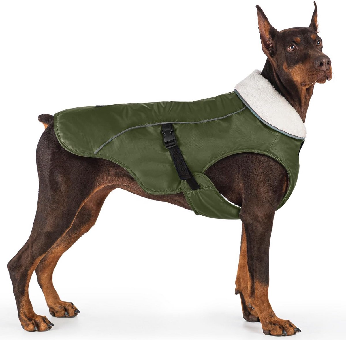Warme Winddichte Winterjas voor Middelgrote Honden - Reflecterend en Waterafstotend