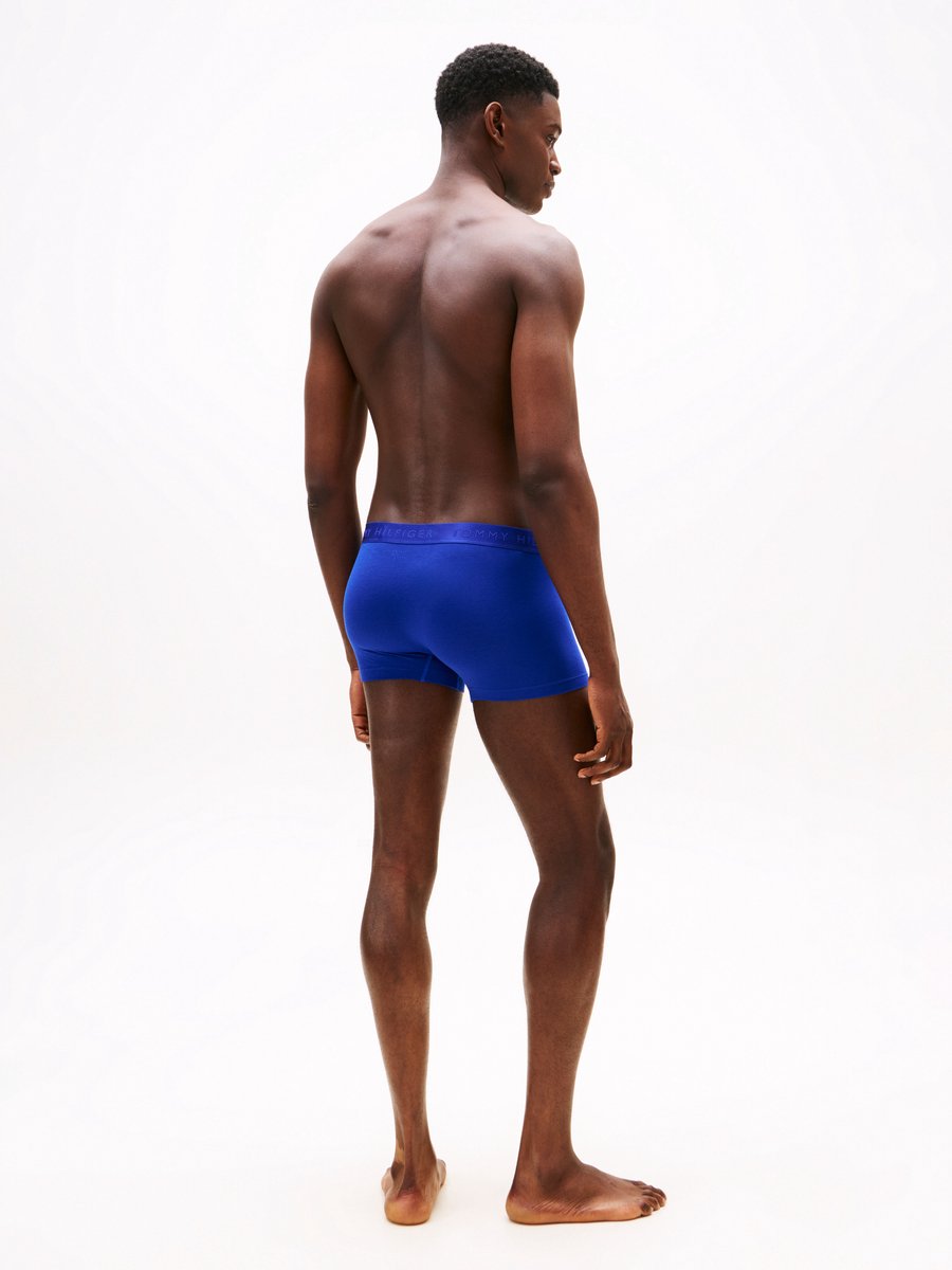 Tommy Hilfiger Underwear/Swimwear (PVH Group) - Heren - Onderbroeken