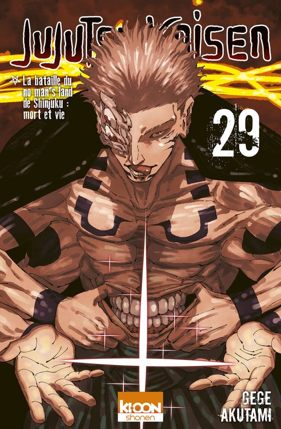 Jujutsu Kaisen - Jujutsu Kaisen T29 - cover