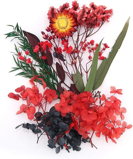 Gedroogde Bloemen en Epoxyhars Set - 2 Dozen Natuurlijke Bloemen voor Kaarsen, Knutselen, Plakboek, Fotolijst, Decoratie, Nail Art en Handwerk