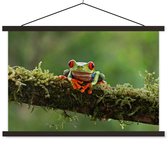 Grenouille ara aux yeux rouges sur affiche textielposter branche couverte lattes noir 120x80 cm - Tirage photo sur plaque scolaire (décoration murale salon / chambre)
