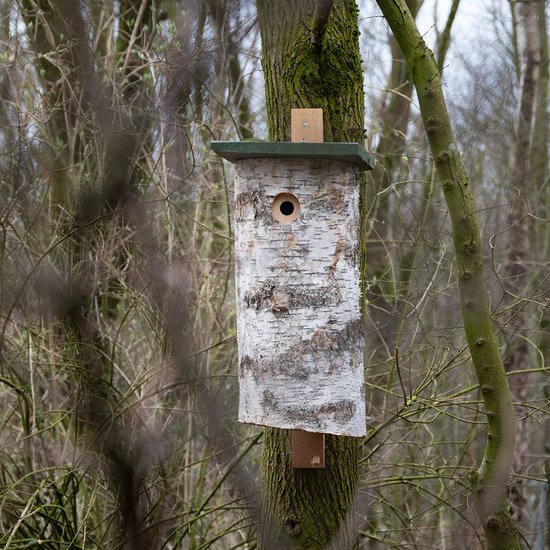 CJ Wildlife Nestkast voor Specht - Malmö - Nestkastje van Berkenstam - Houten Vogelhuisje - FSC-gecertificeerd