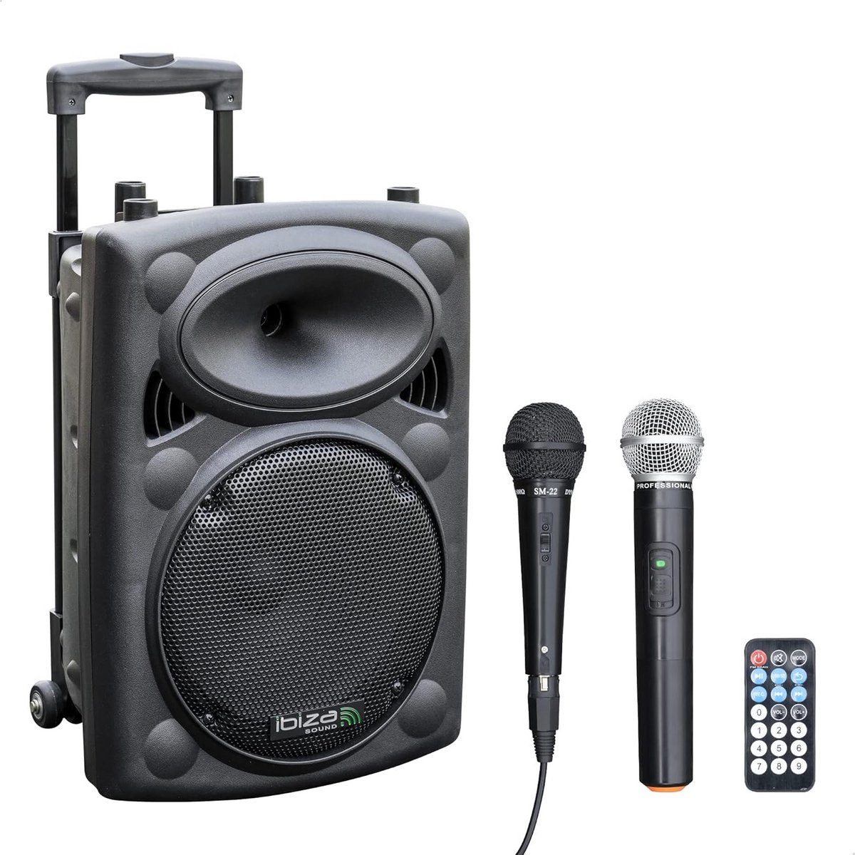 Draagbare Speaker 10 Inch 500W MAX met Draadloze & Bekabelde Microfoon - Bluetooth, USB, SD