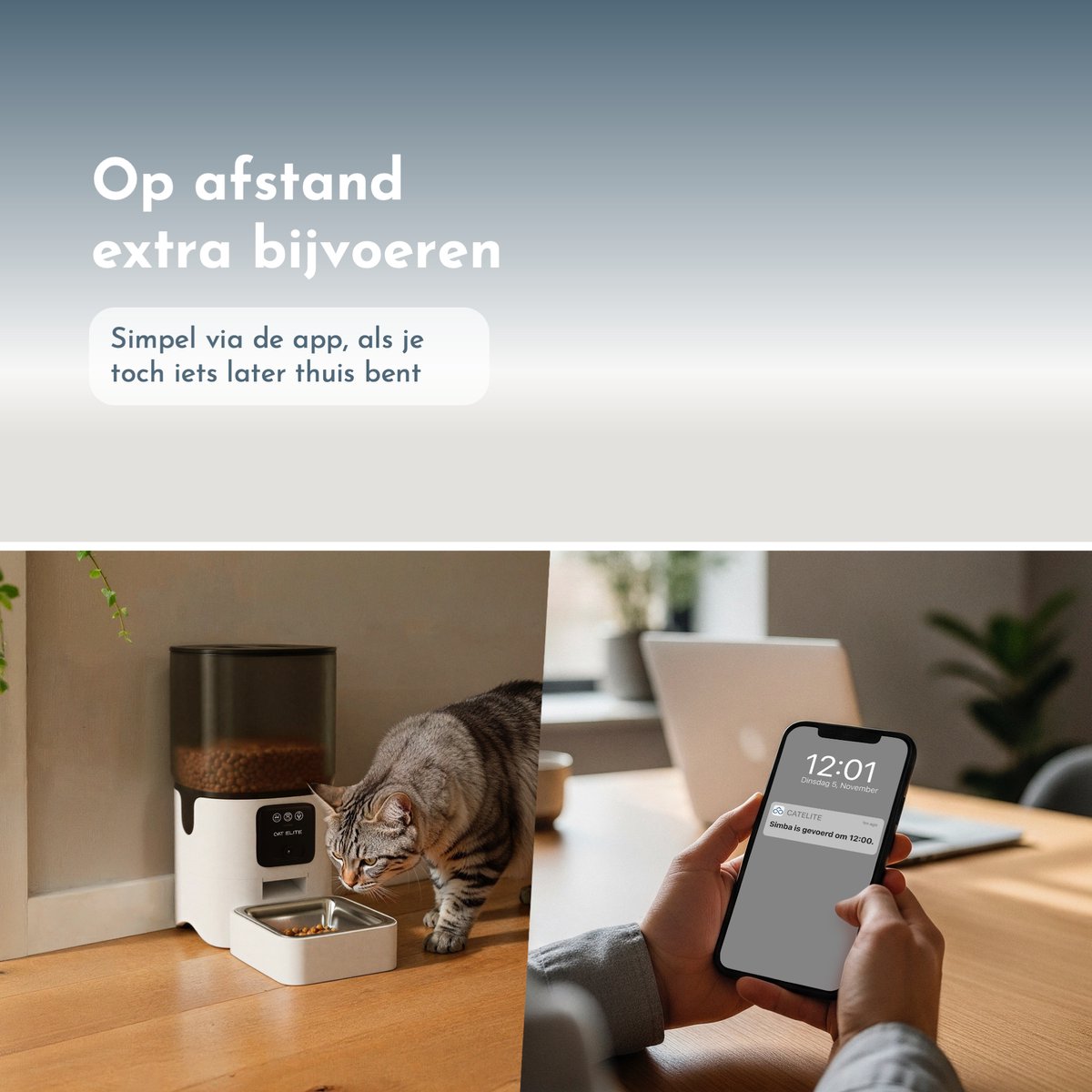 CatElite® - Automatische Voerbak Kat | Sync - 6L Voerdispenser RVS - HD Camera & Audio - Dual WiFi 5Ghz & 2.4Ghz - Night Vision - Voerautomaat Dispenser met Smart App - Voor Droogvoer - Wit thumbnail 8