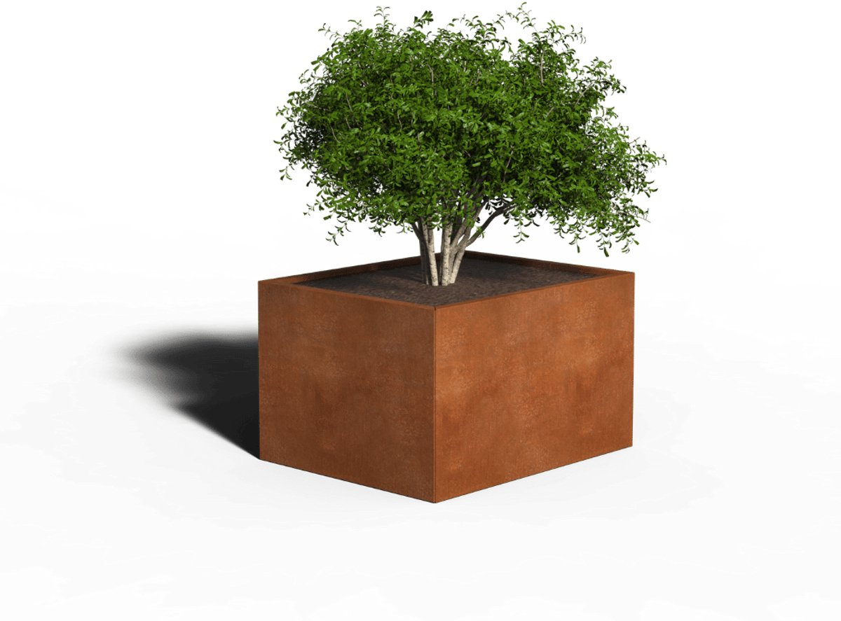 Cortenstaal Plantenbak Rechthoek | 100 x 80 x 30 | Zonder bodem