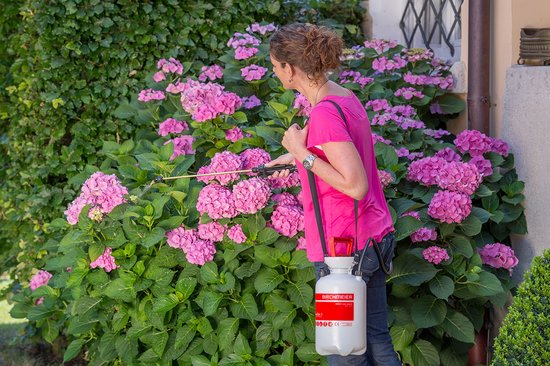 Birchmeier Garden Star 3L 1 st — afbeelding 3