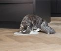 Grijze kat eet uit een donkergrijs bakje op een lichtgrijs ovaal placematje.