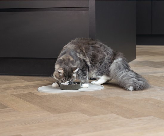 Grijze kat eet uit een donkergrijs bakje op een lichtgrijs ovaal placematje.