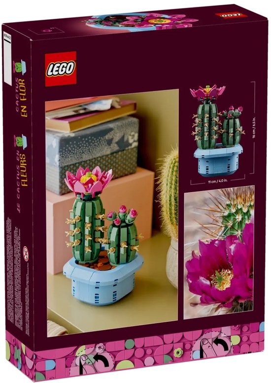 LEGO Botanicals Cactus Fleuri - Ensemble Décoration Plantes - 11509
