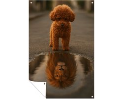 Poedel bij plas – buiten decoratie – tuin – Tuinposter – 80x120 cm