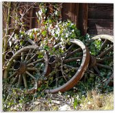Houten Wagenwiel Oud 40 - 60 cm - Webshop