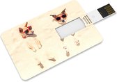 Venditio USB Credit Card - 64 GB 2.0 - Dog - USB Stick