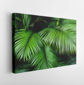 Onlinecanvas - Schilderij - Palm Tree Leaves. Tropical Forest Natural. Green Pattern. Art Horizontal Horizontal - Multicolor - 75 X 115 Cm