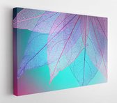 Macro leaves background texture blue, turquoise, pink color. Transparent skeleton leaves. Bright expressive colorful beautiful artistic image of nature - Modern Art Canvas - Horizo