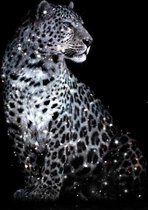 Glasschilderij - Glitter Tijger - Zwart Wit - fotokunst op glas  - 80 x 120 cm
