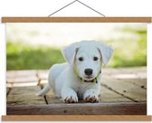 Schoolplaat – Schattig Wit Hondje - 60x40cm Foto op Textielposter (Wanddecoratie op Schoolplaat)