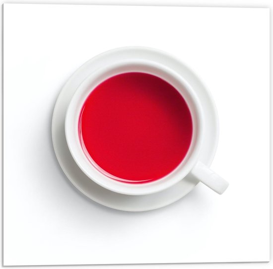 Forex - Rode Verf in een Blik - 50x50cm Foto op Forex