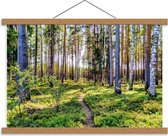 Schoolplaat – Bos met Zonnetje - 60x40cm Foto op Textielposter (Wanddecoratie op Schoolplaat)