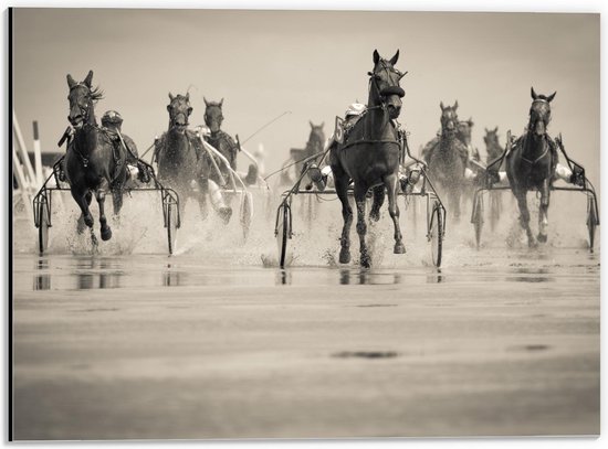 Dibond - Racepaarden achter Kar - 40x30cm Foto op Aluminium (Wanddecoratie van metaal)