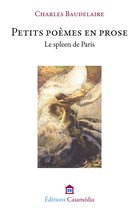 livre numérique