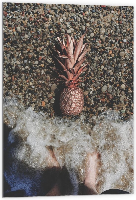 Dibond - Gouden Ananas Spoelt aan - 60x90cm Foto op Aluminium (Met Ophangsysteem)