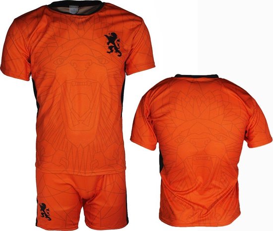 weerstand Beneden afronden tafereel Nederlands Elftal EK 21/22 Replica Voetbal Tenue T-Shirt + Broek Set Oranje  | bol.com