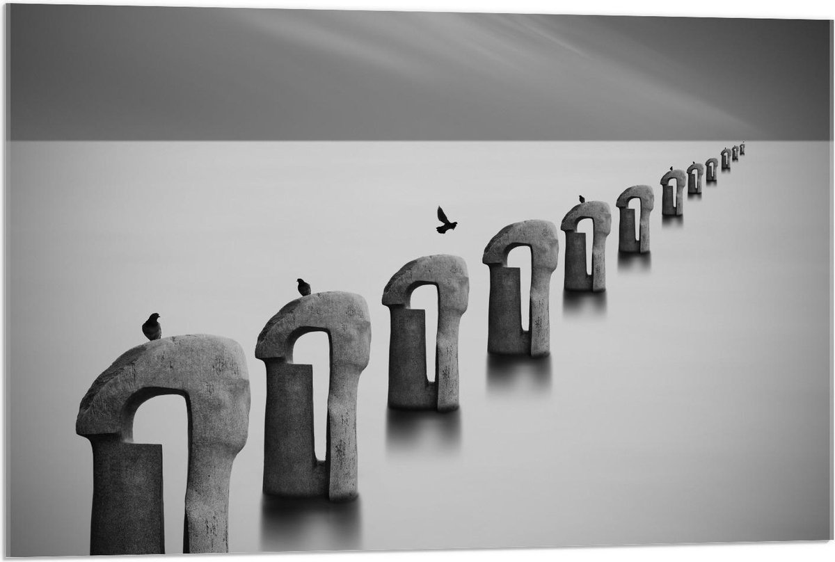 Acrylglas - Vogels op Betonnen Palen ( Zwart Wit ) - 90x60cm Foto op Acrylglas (Wanddecora