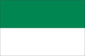 Vlag gemeente Vlieland 150x225 cm