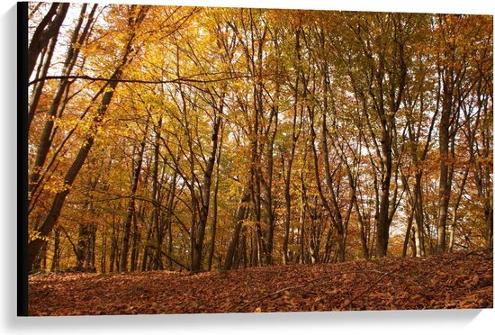 Canvas  - Herfstige Bomen in het Bos - 90x60cm Foto op Canvas Schilderij (Wanddecoratie op Canvas)