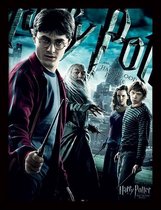 HARRY POTTER - Half-Blood Prince - Framed Print 30x40cm