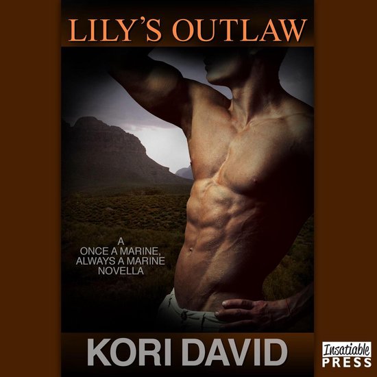 Lily's Outlaw - cover