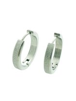 Stalen zilverkleurige oorringen gediamanteerd 20mm